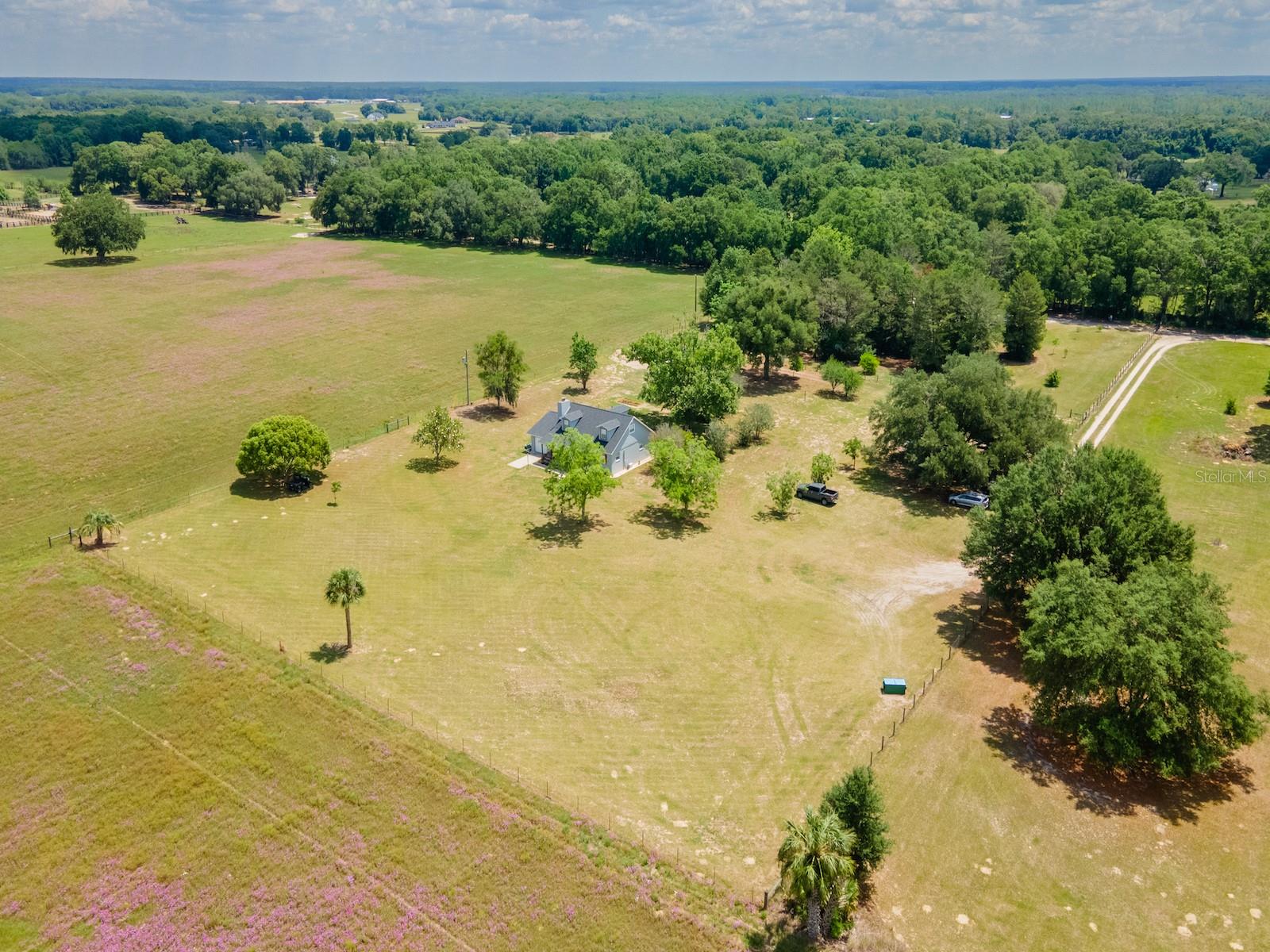 4381 NE 105TH PL, ANTHONY, FL, 32617
