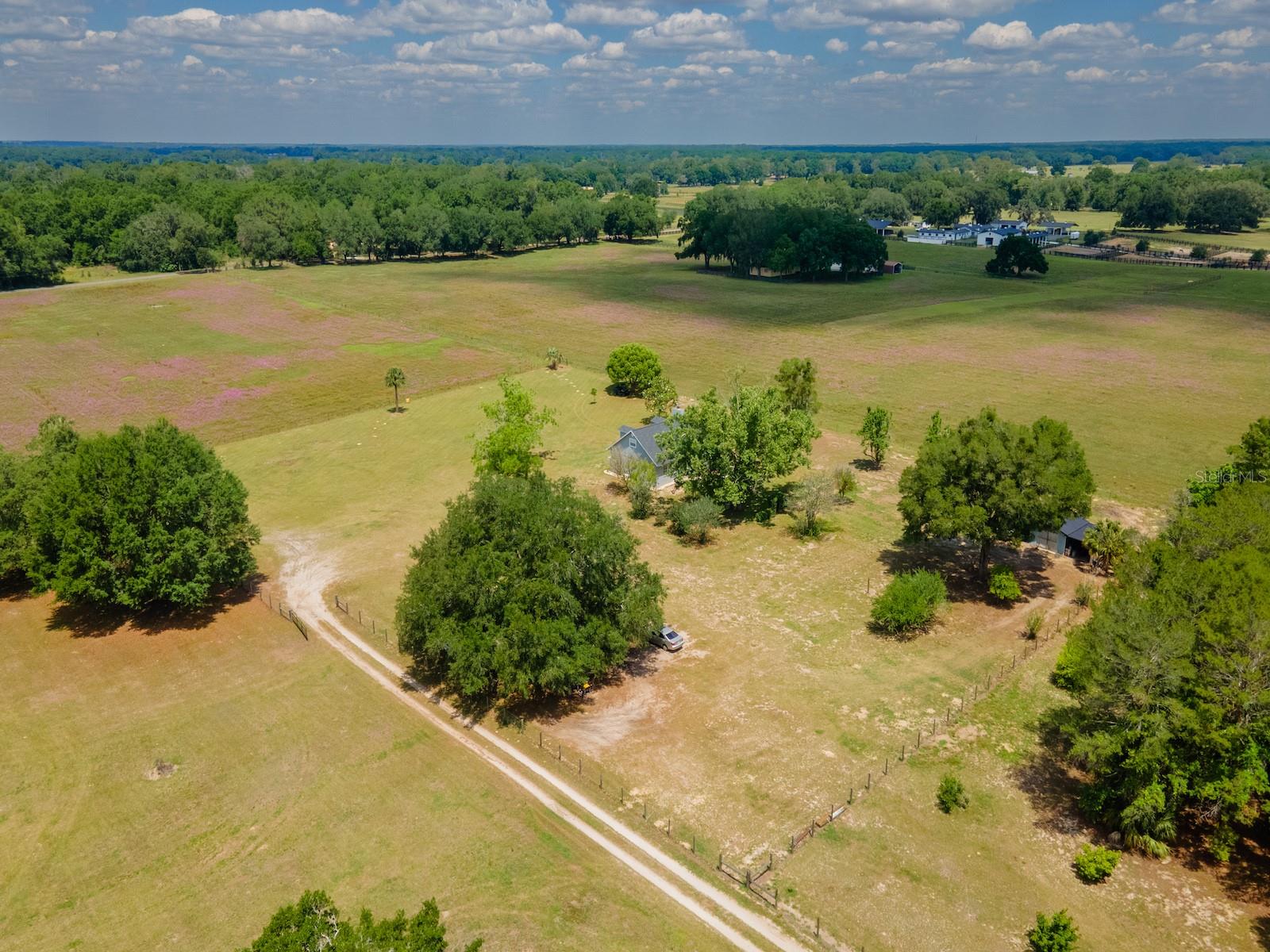 4381 NE 105TH PL, ANTHONY, FL, 32617