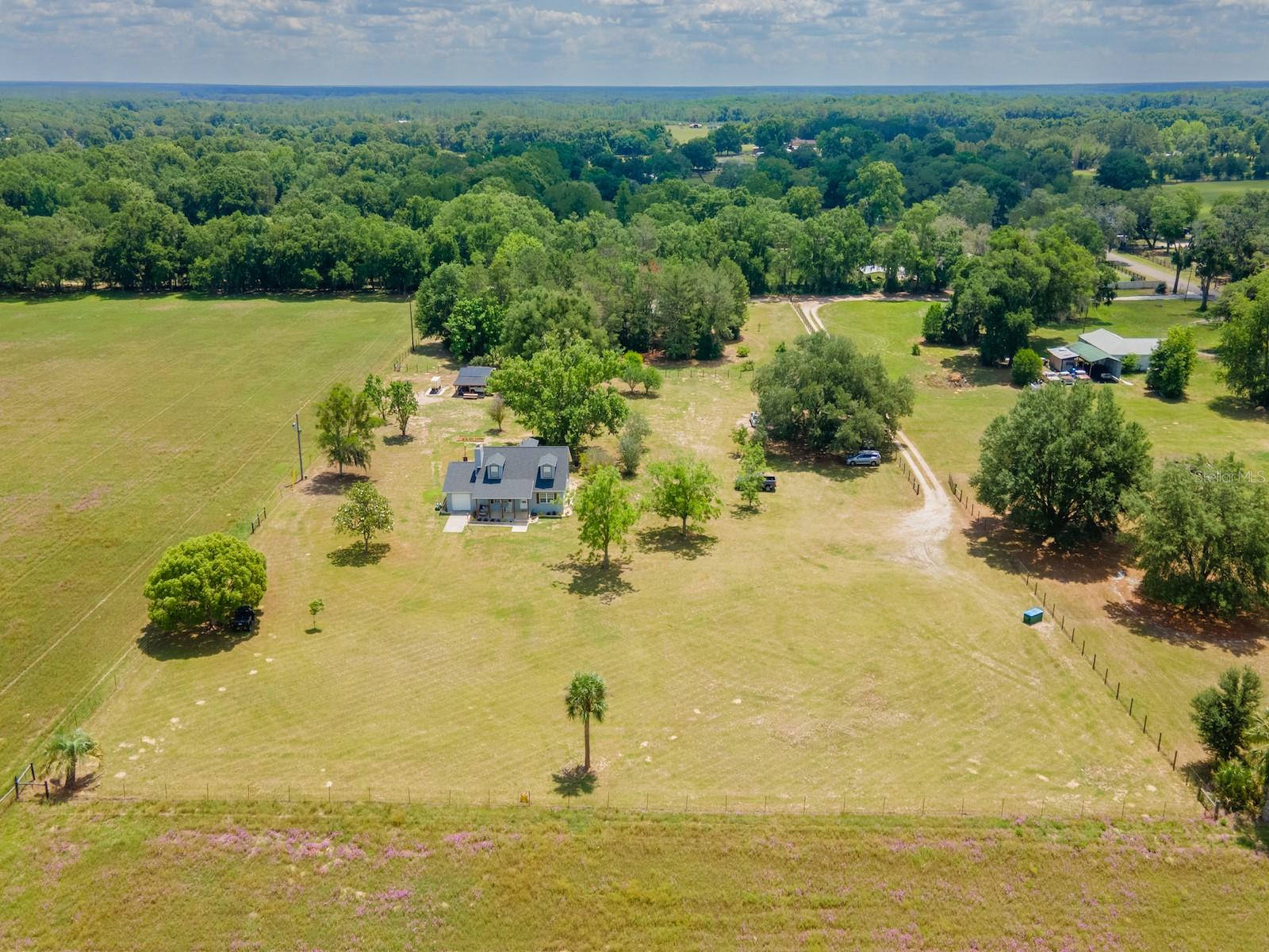 4381 NE 105TH PL, ANTHONY, FL, 32617