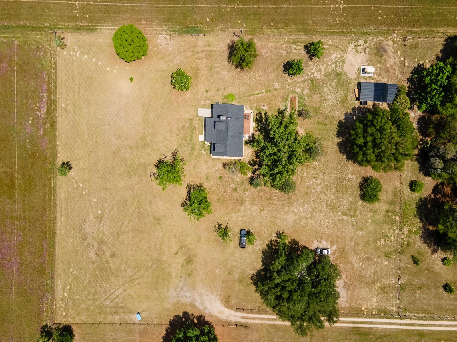 4381 NE 105TH PL, ANTHONY, FL, 32617