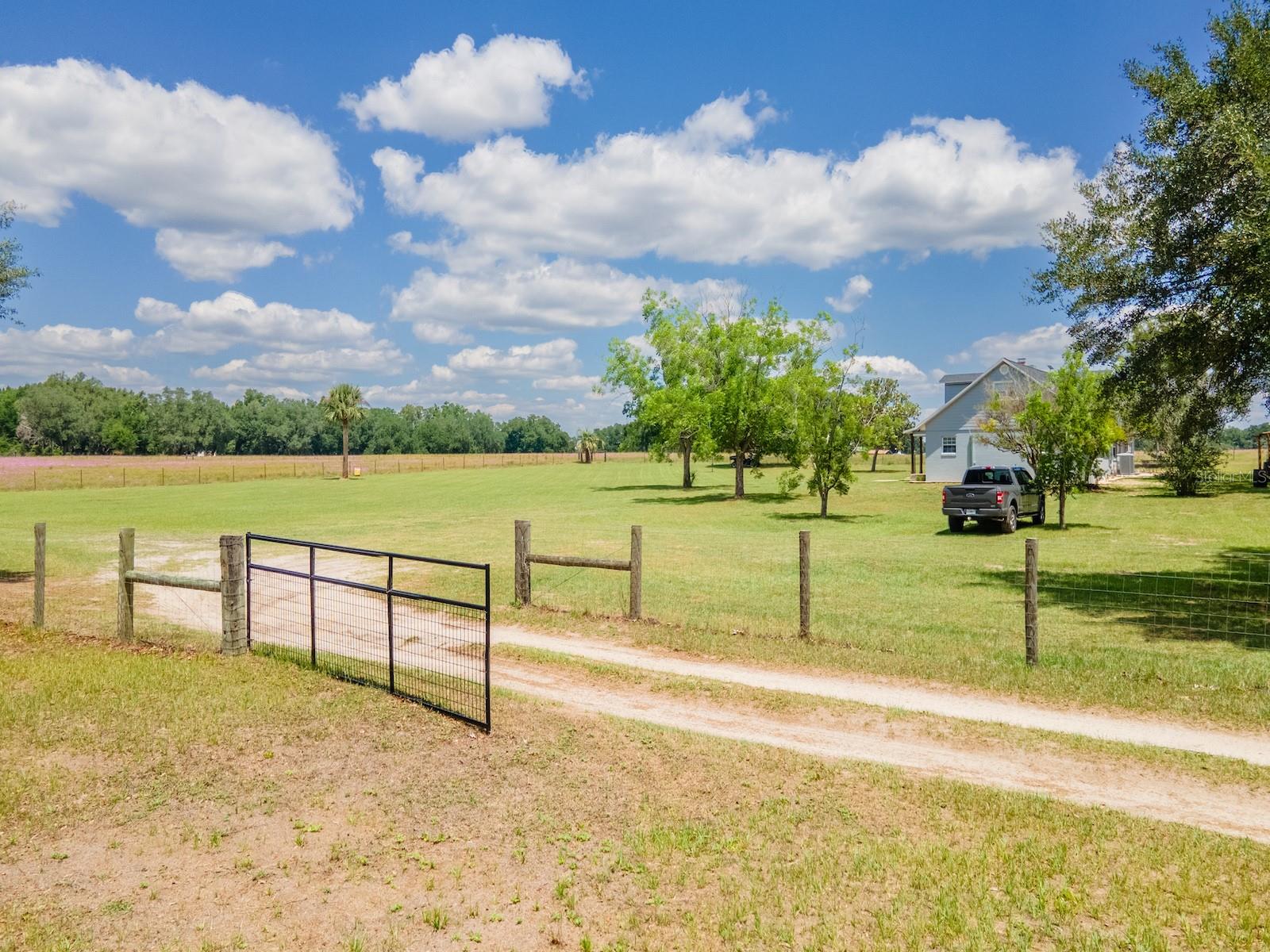 4381 NE 105TH PL, ANTHONY, FL, 32617