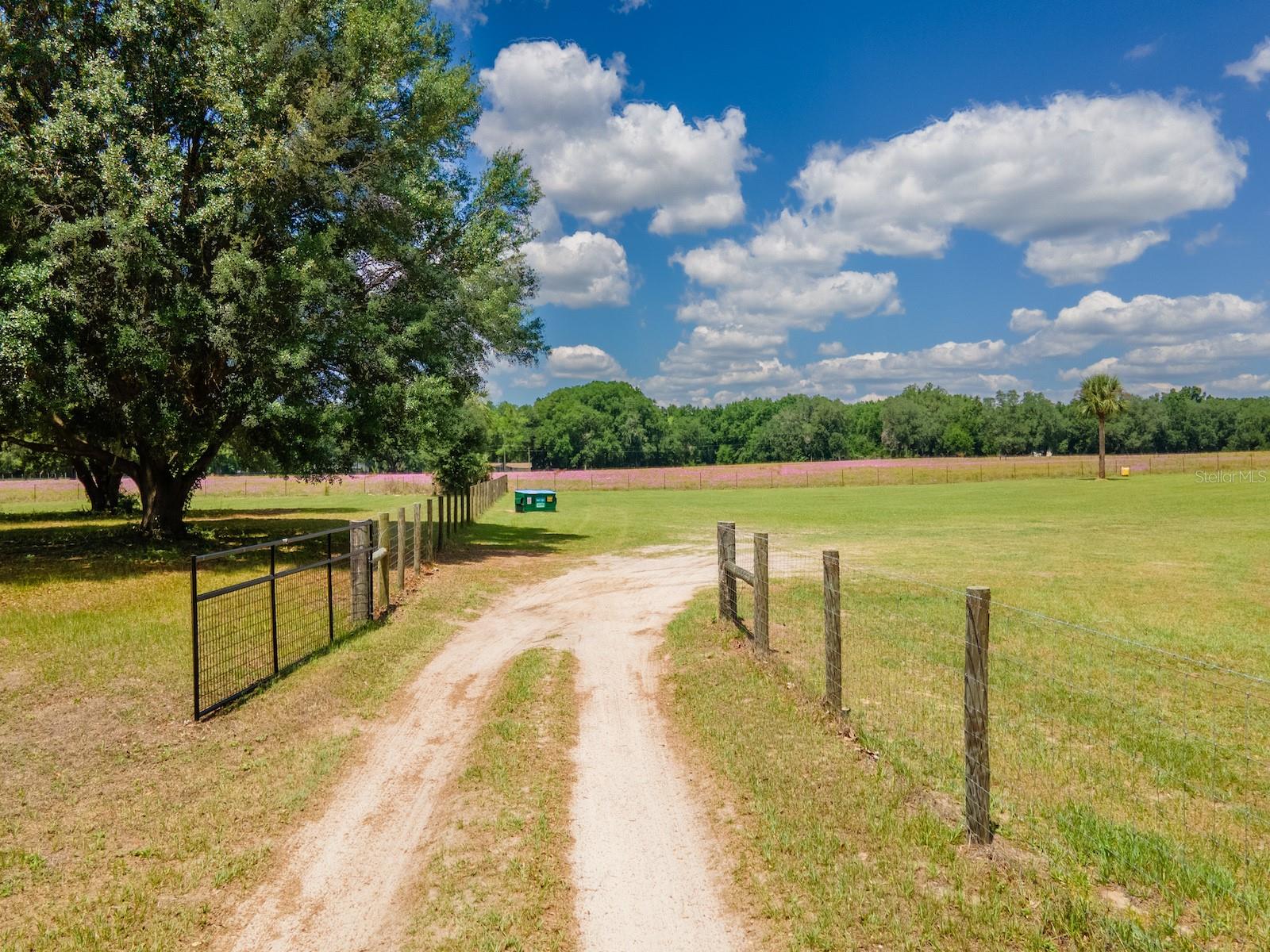 4381 NE 105TH PL, ANTHONY, FL, 32617