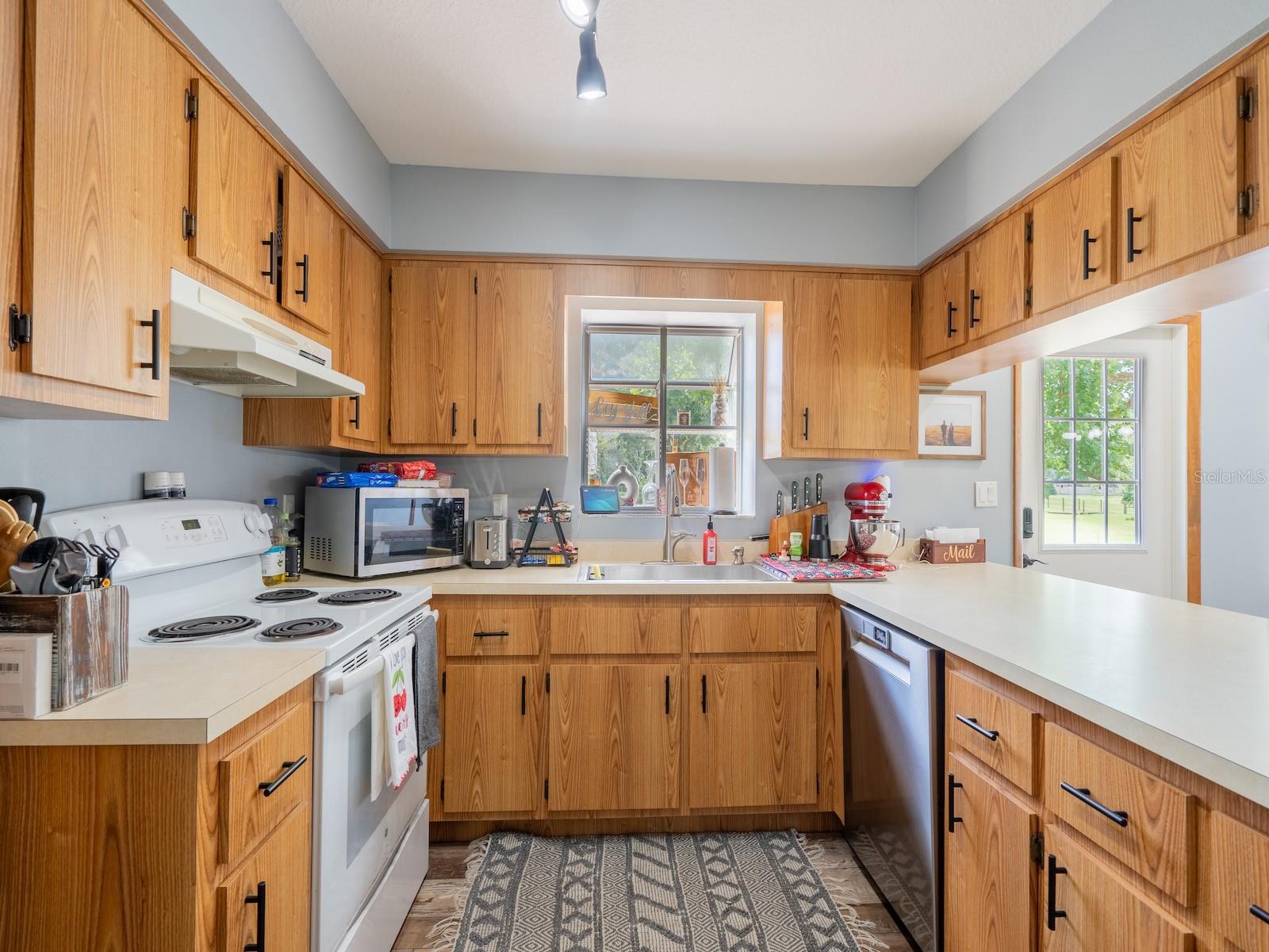 4381 NE 105TH PL, ANTHONY, FL, 32617