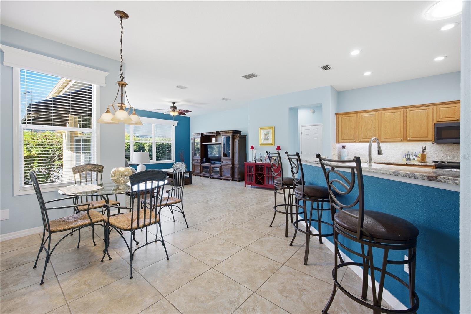 11735 SE 91ST CIR, SUMMERFIELD, FL, 34491