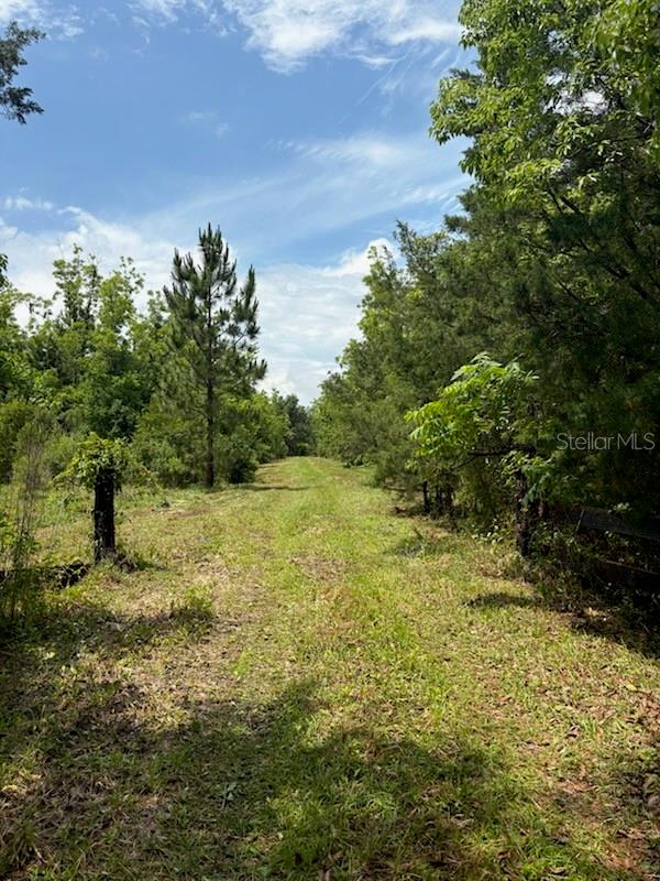 459 COUNTY ROAD 2006 E, BUNNELL, FL, 32110