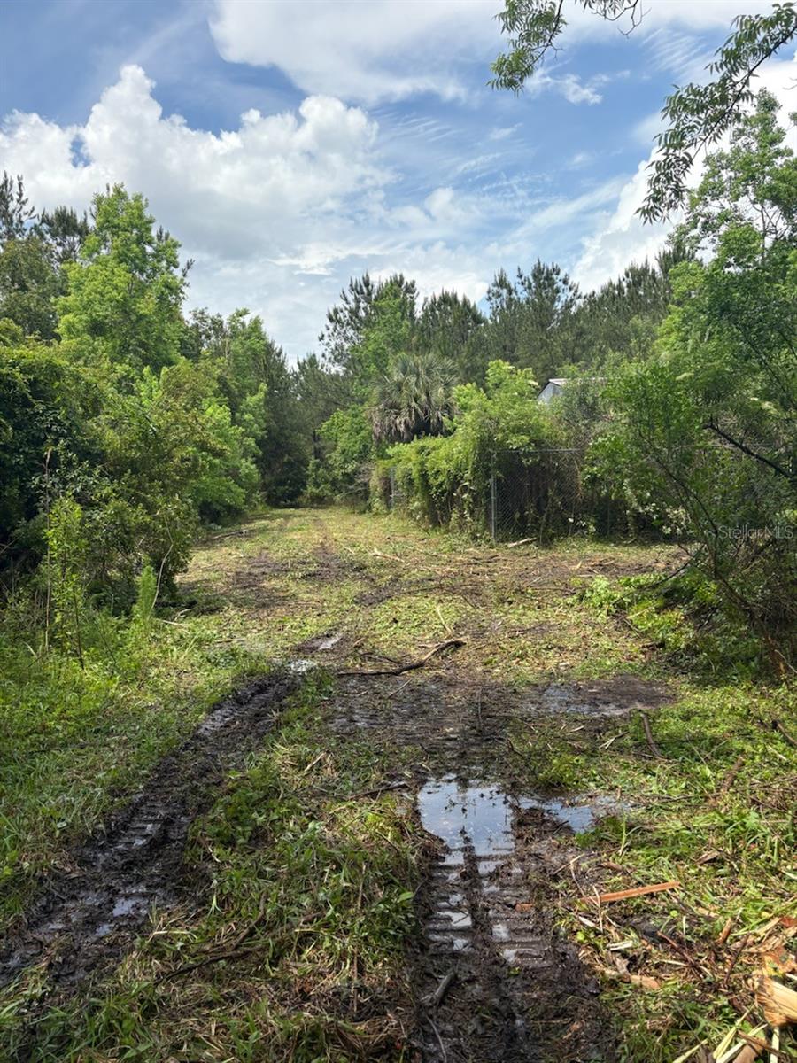 459 COUNTY ROAD 2006 E, BUNNELL, FL, 32110