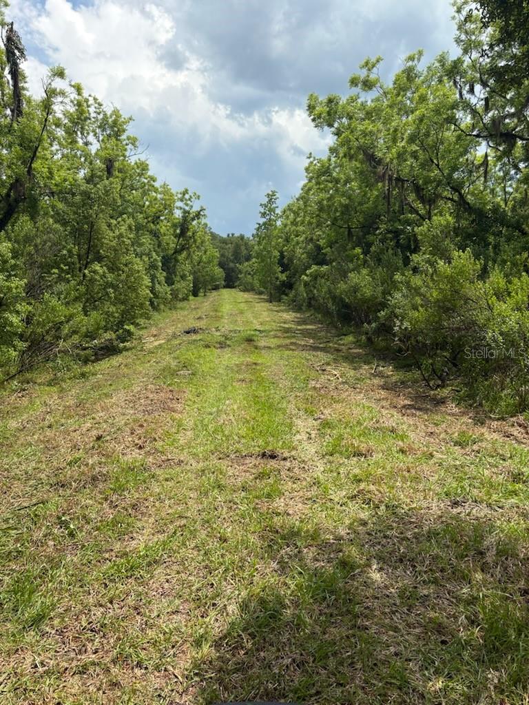 459 COUNTY ROAD 2006 E, BUNNELL, FL, 32110