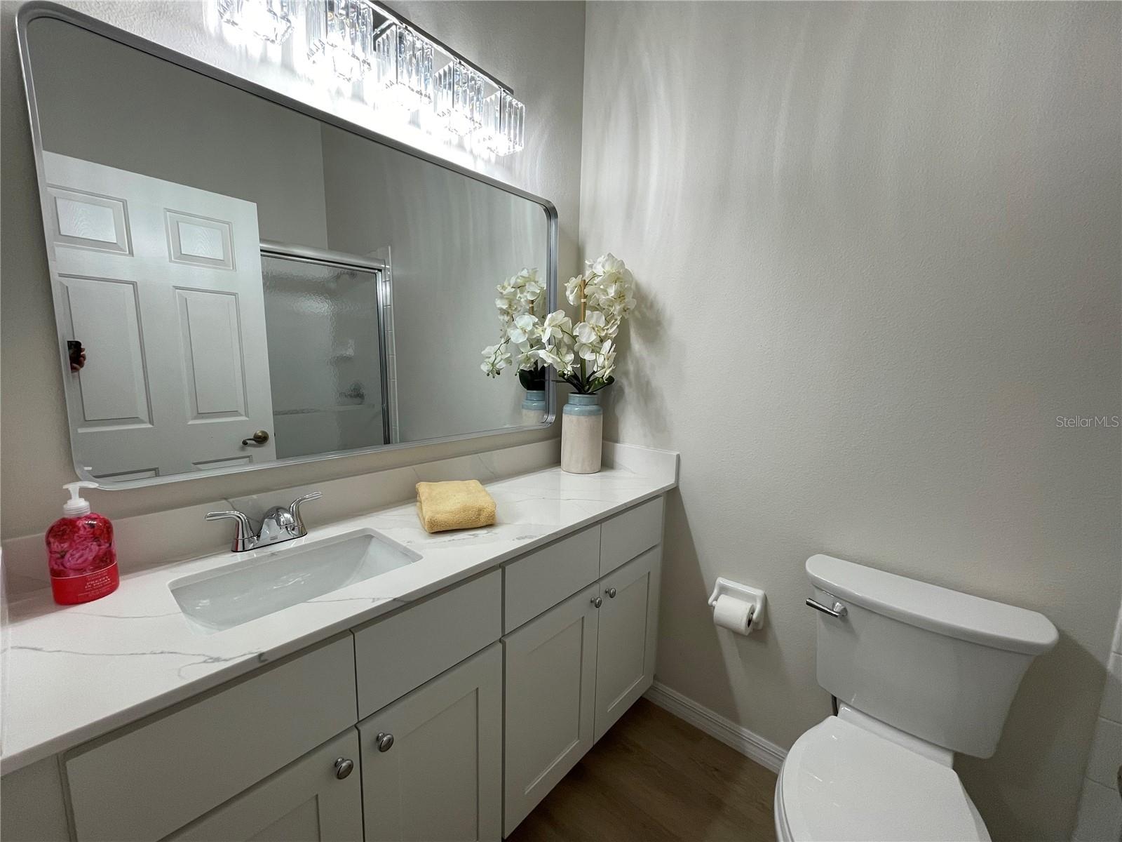 24345 AMBERLEAF CT, LEESBURG, FL, 34748