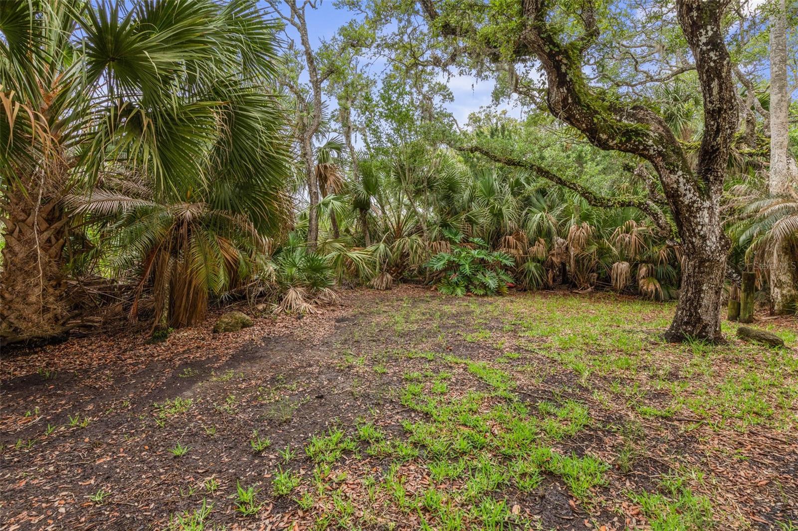 1436 S FLAGLER AVE, FLAGLER BEACH, FL, 32136