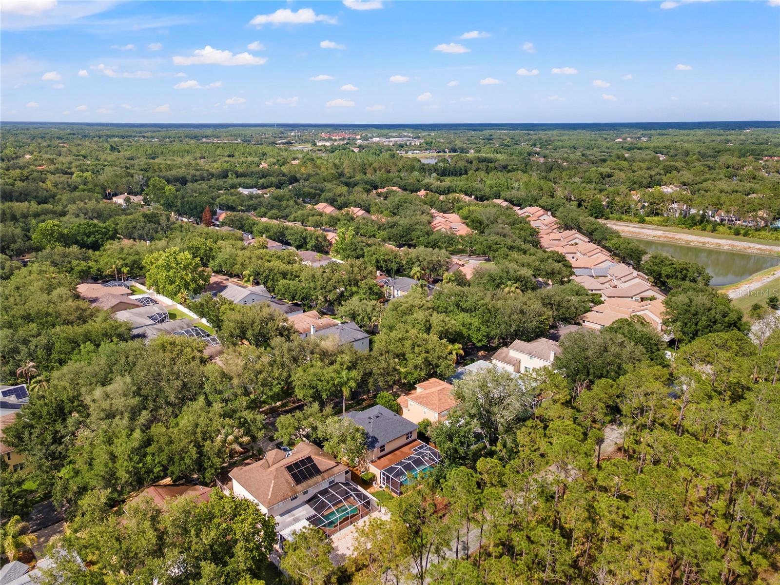 9307 POPLAR CREEK CT, TAMPA, FL, 33647