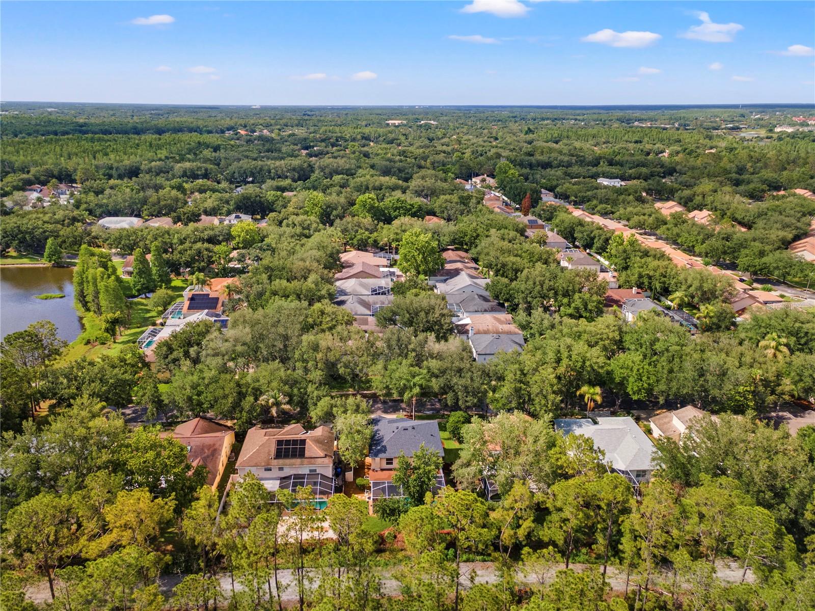 9307 POPLAR CREEK CT, TAMPA, FL, 33647