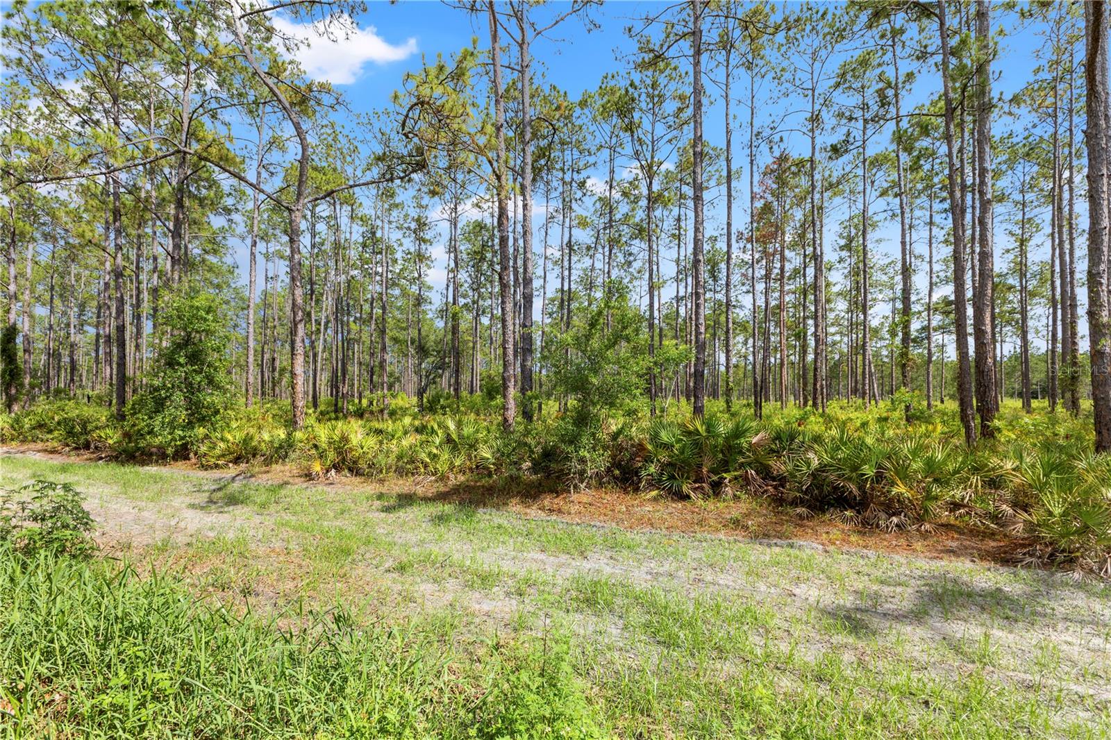 9307 POPLAR CREEK CT, TAMPA, FL, 33647