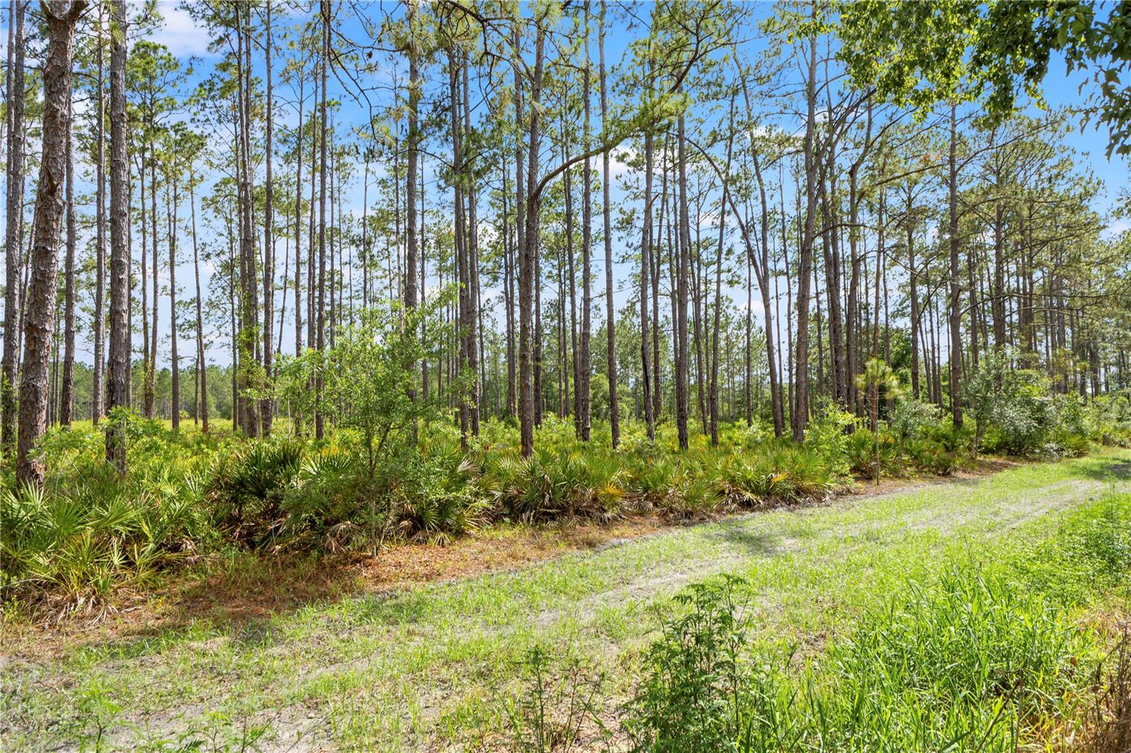 9307 POPLAR CREEK CT, TAMPA, FL, 33647