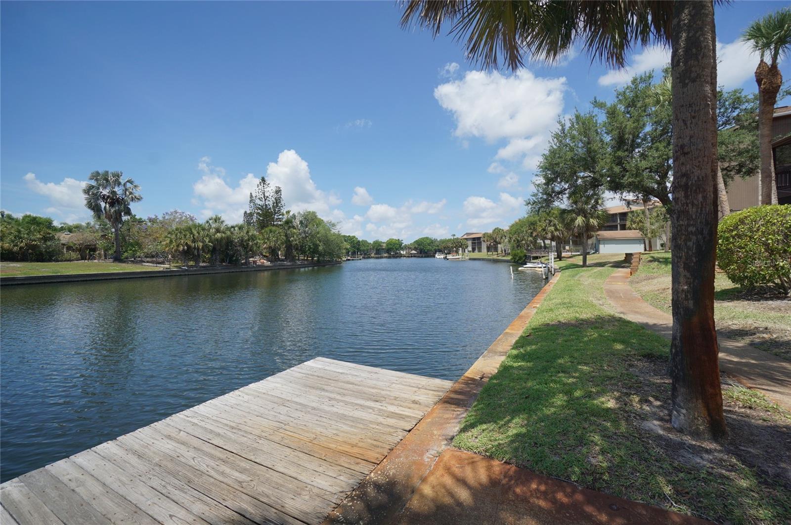 6325 NEWTOWN CIR #B5, TAMPA, FL, 33615