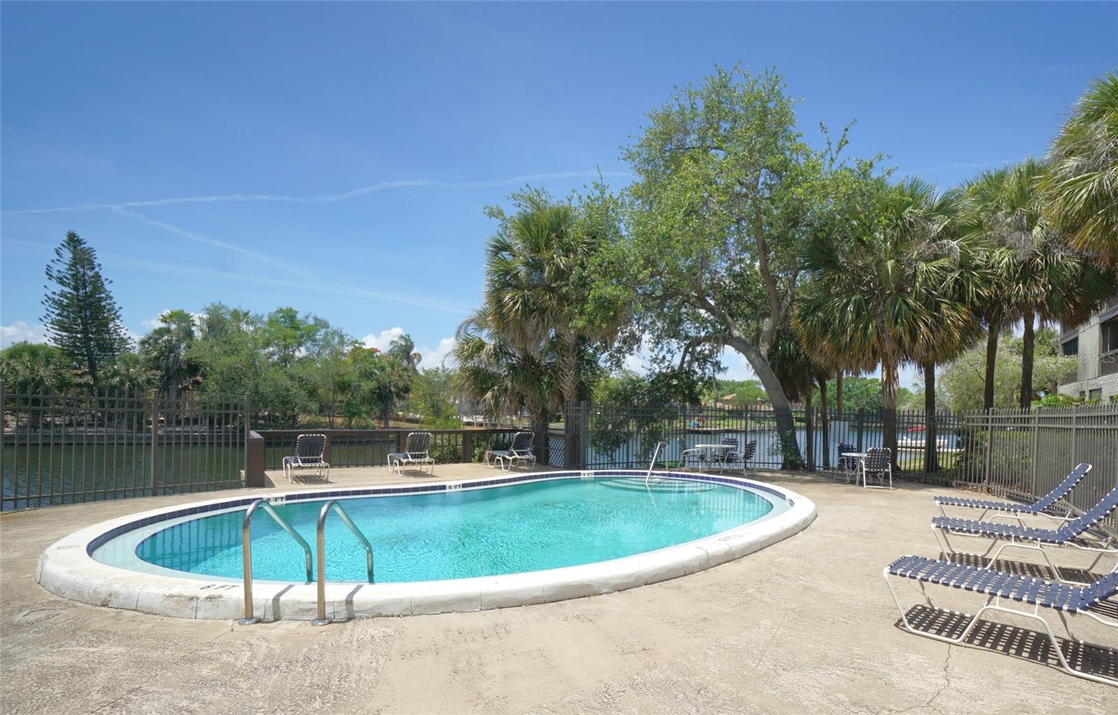 6325 NEWTOWN CIR #B5, TAMPA, FL, 33615