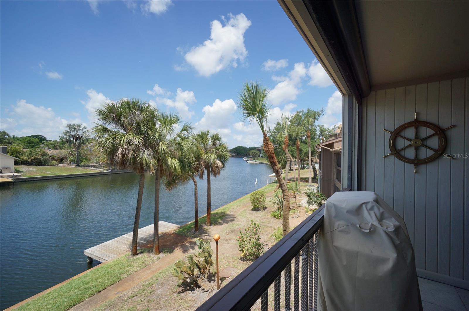 6325 NEWTOWN CIR #B5, TAMPA, FL, 33615