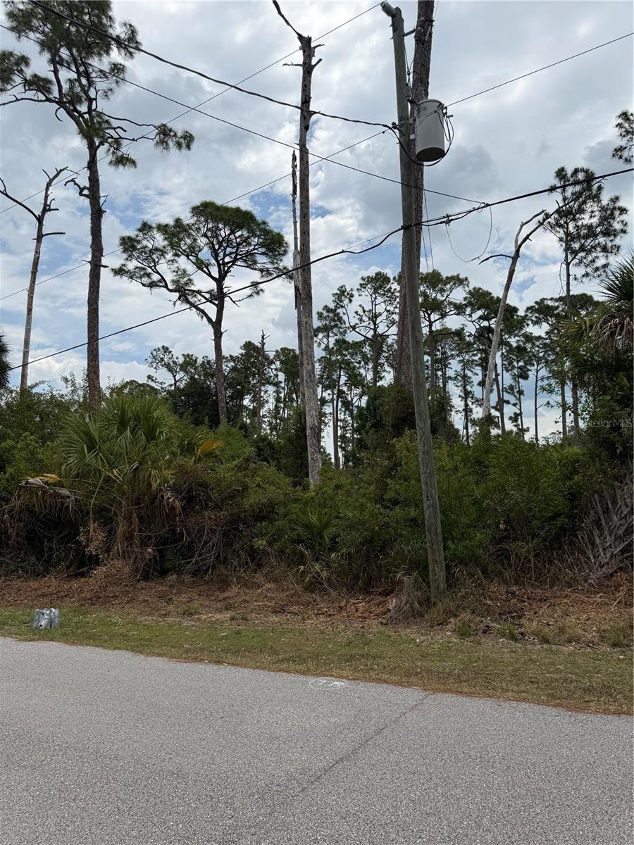 ZUYDER TER, NORTH PORT, FL, 34286