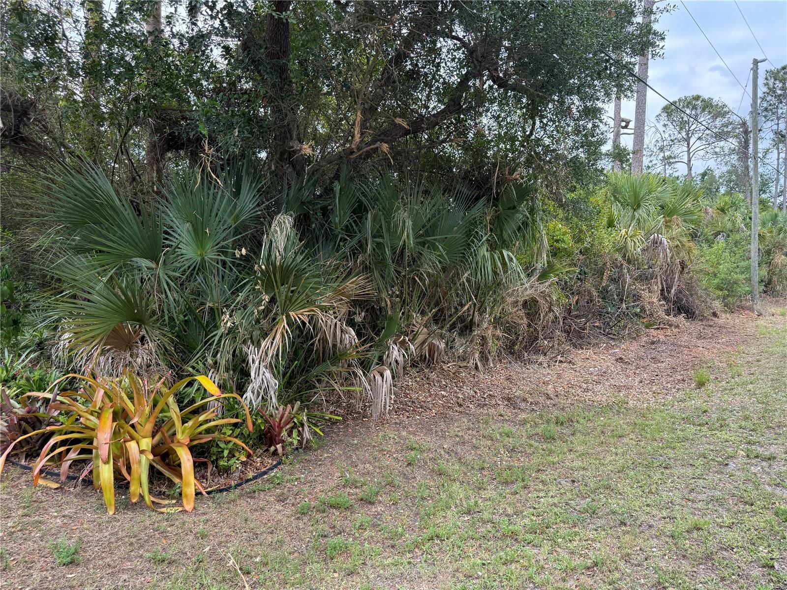 ZUYDER TER, NORTH PORT, FL, 34286