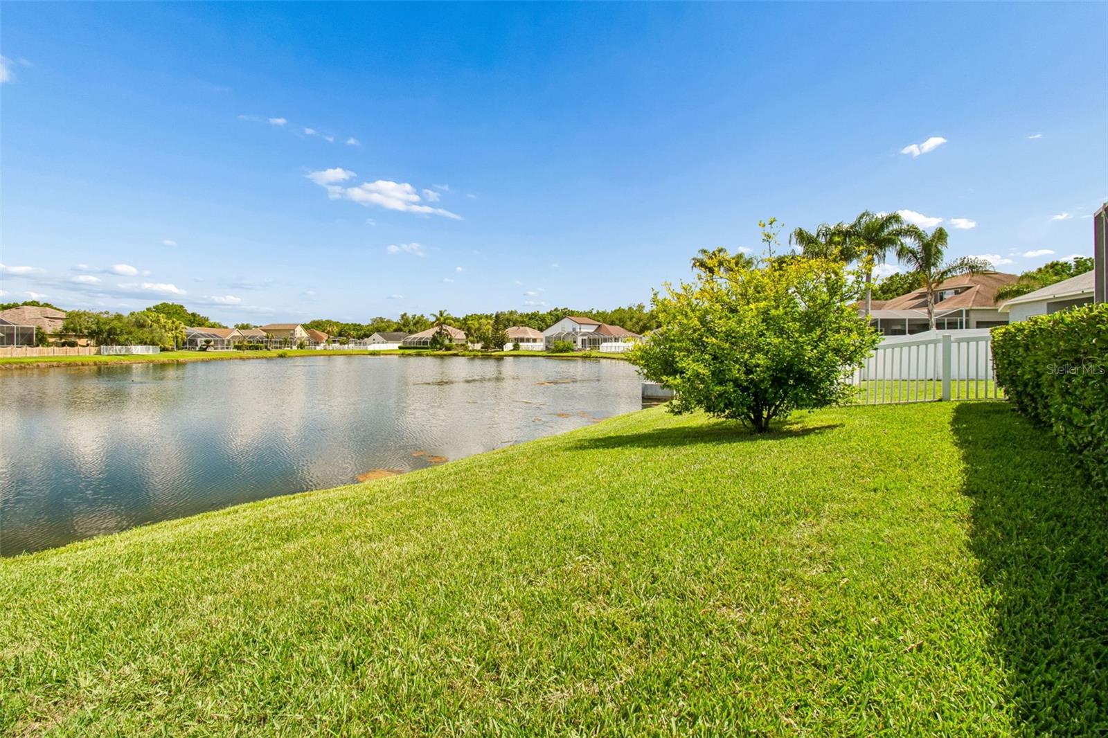 3452 WILLISTON LOOP, LAND O LAKES, FL, 34639