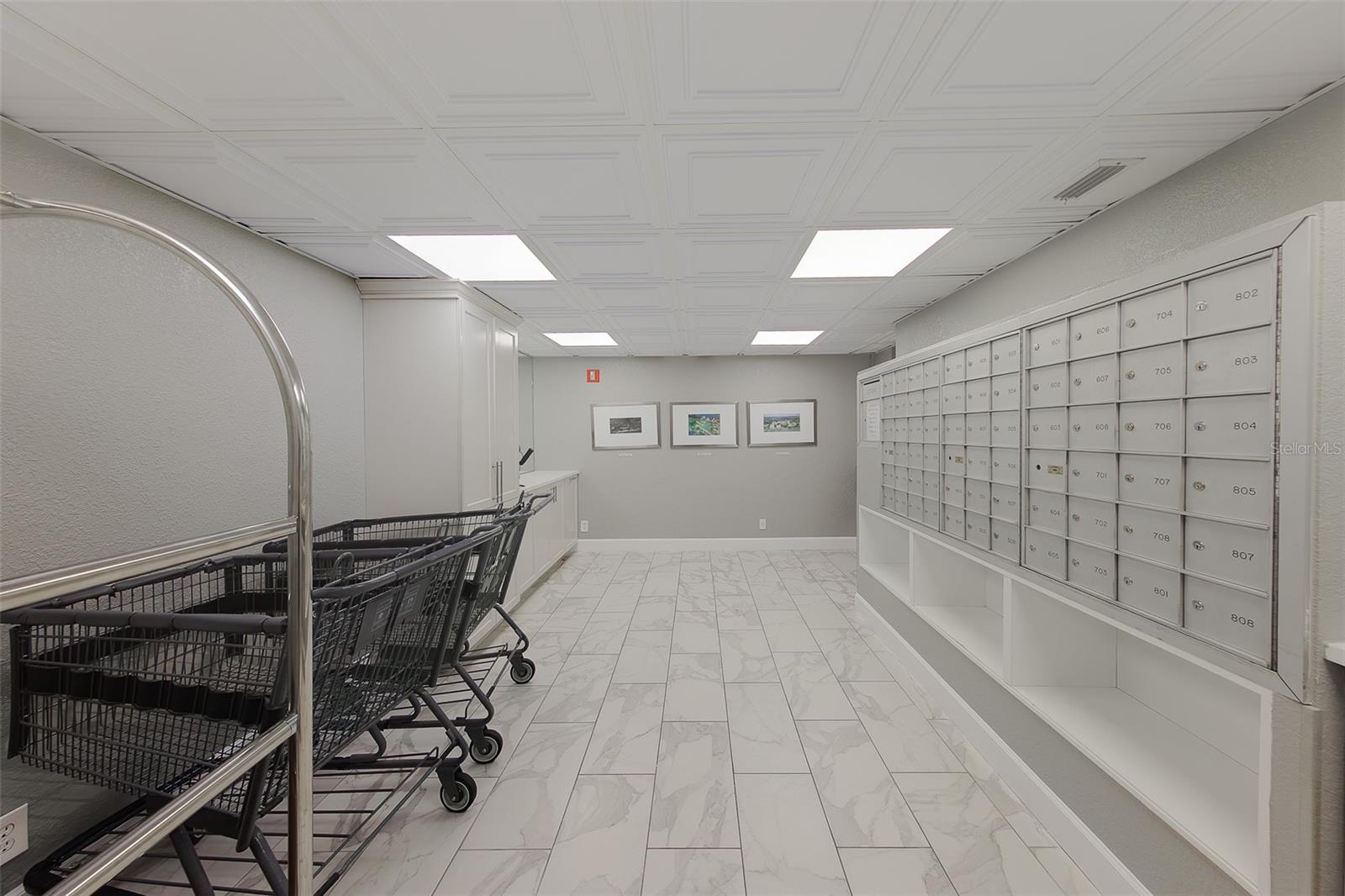 8 BELLEVIEW BLVD #507, BELLEAIR, FL, 33756