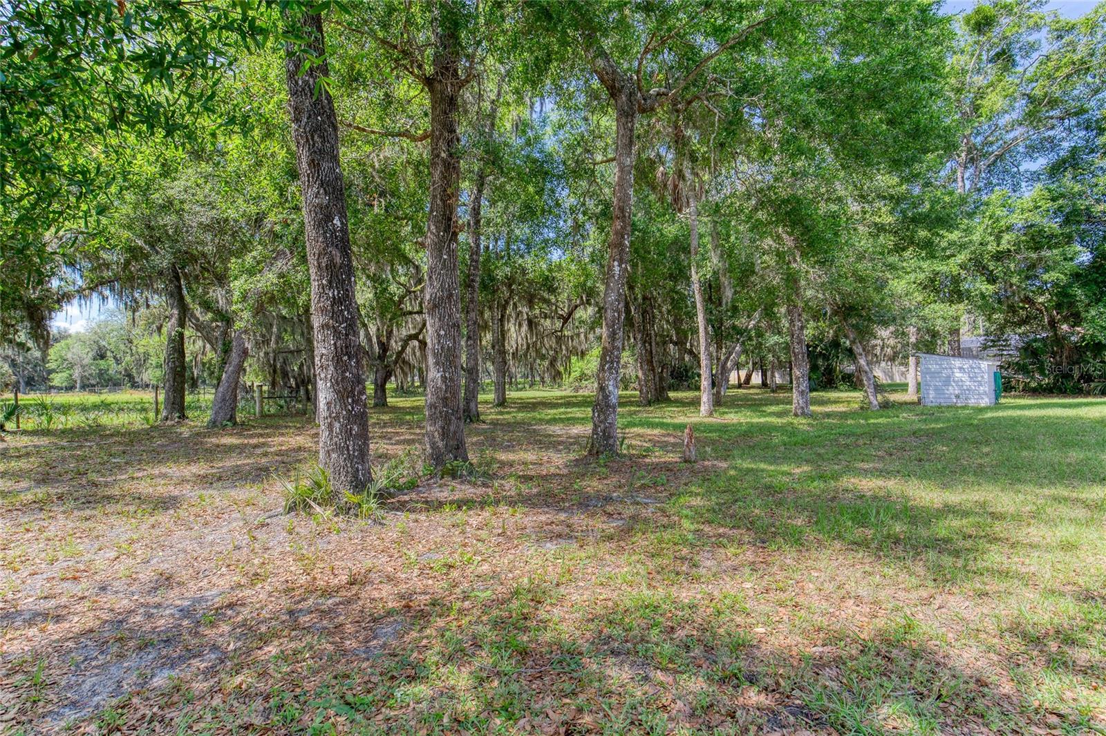 15 MAPLE ST, FLAGLER BEACH, FL, 32136