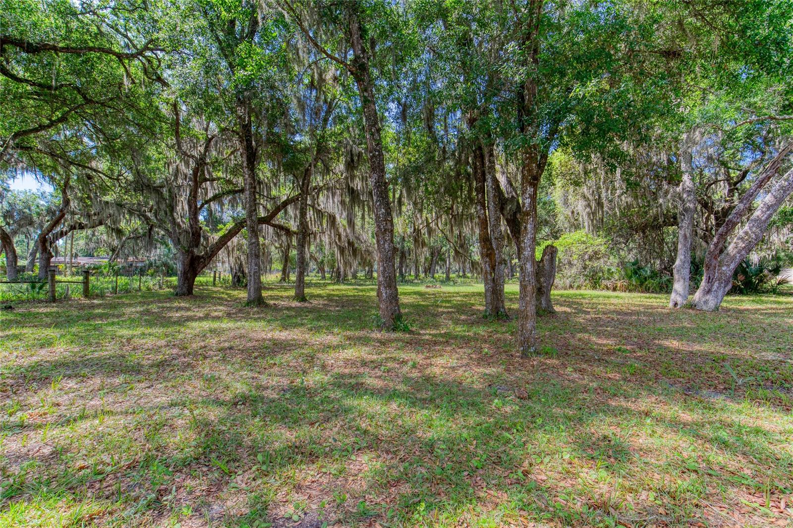 15 MAPLE ST, FLAGLER BEACH, FL, 32136