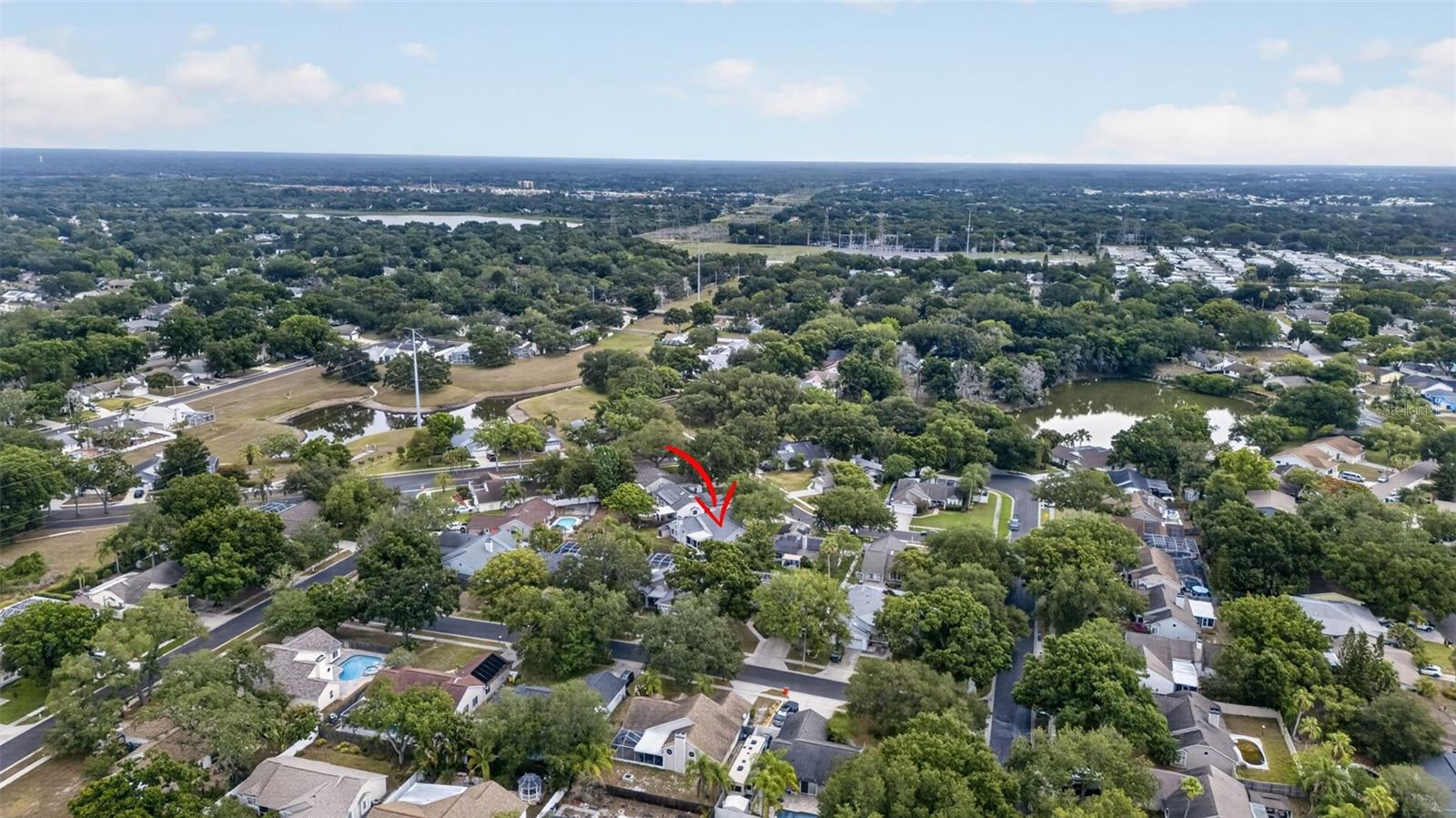 962 EDGEHILL DR, PALM HARBOR, FL, 34684