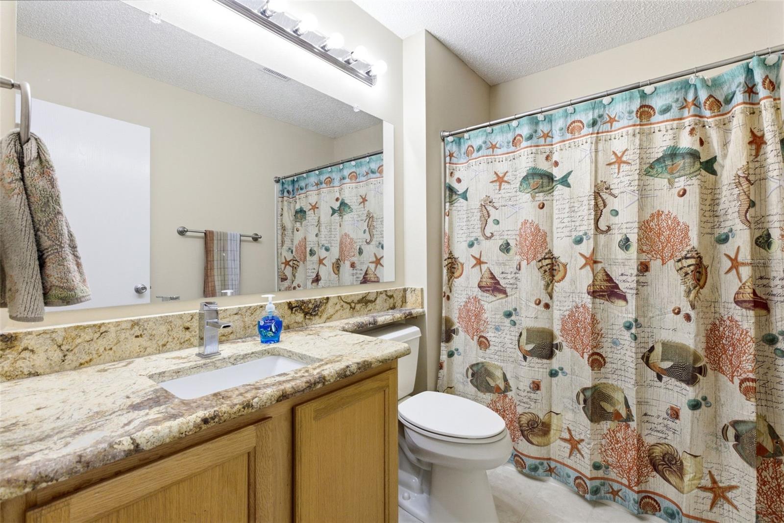 1671 OSPREY AVE, THE VILLAGES, FL, 32162