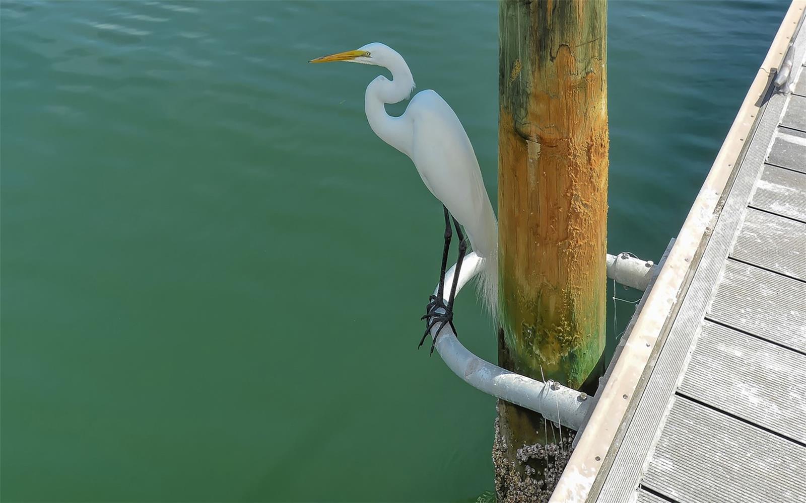 711 SPANISH DR S, LONGBOAT KEY, FL, 34228