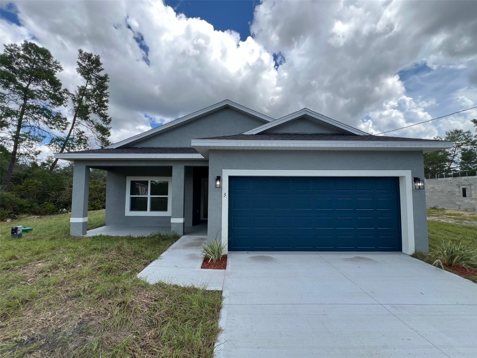 3 FISHER PLACE DR, OCKLAWAHA, FL, 32179