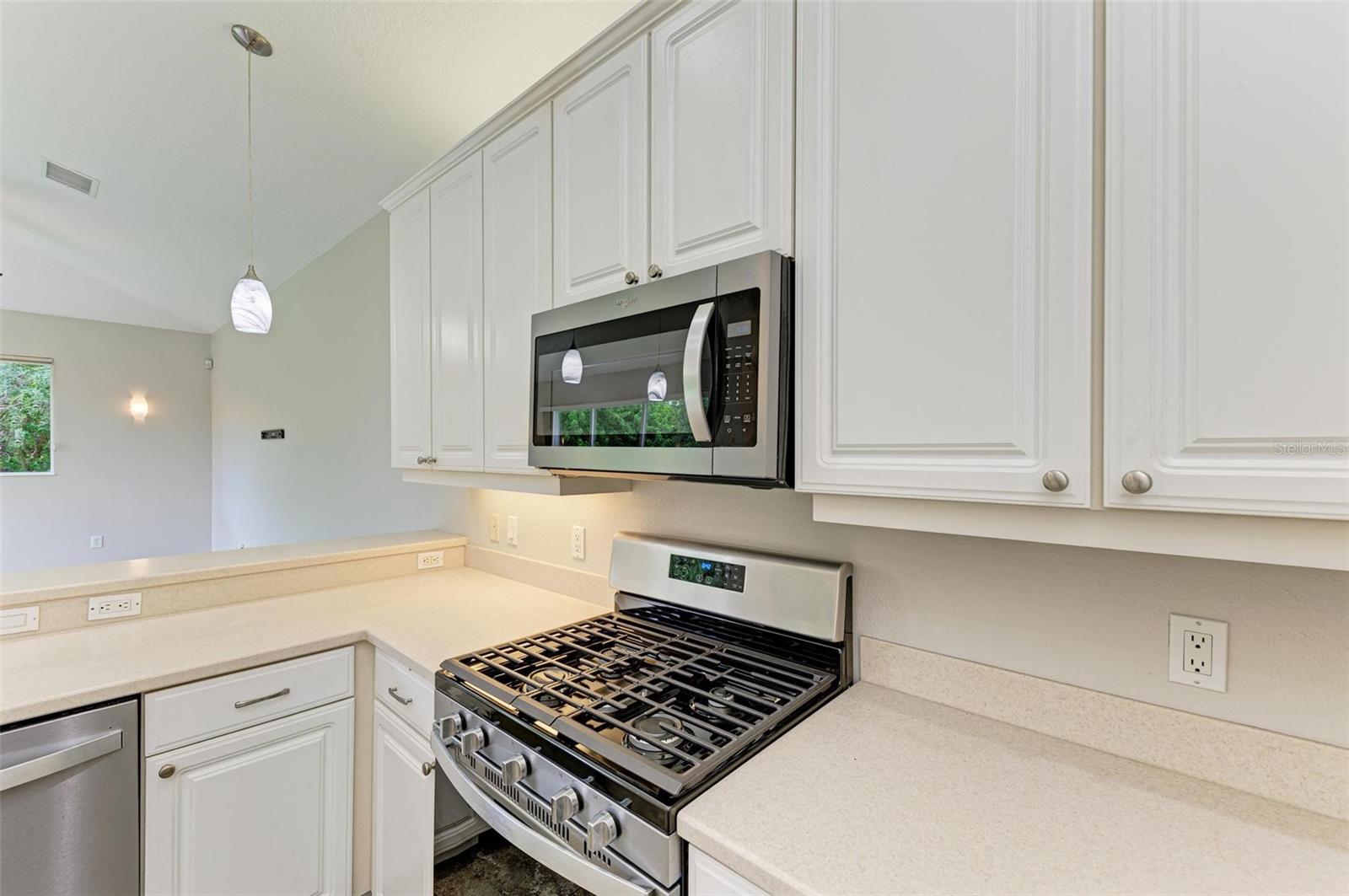 337 SNAPDRAGON LOOP, BRADENTON, FL, 34212