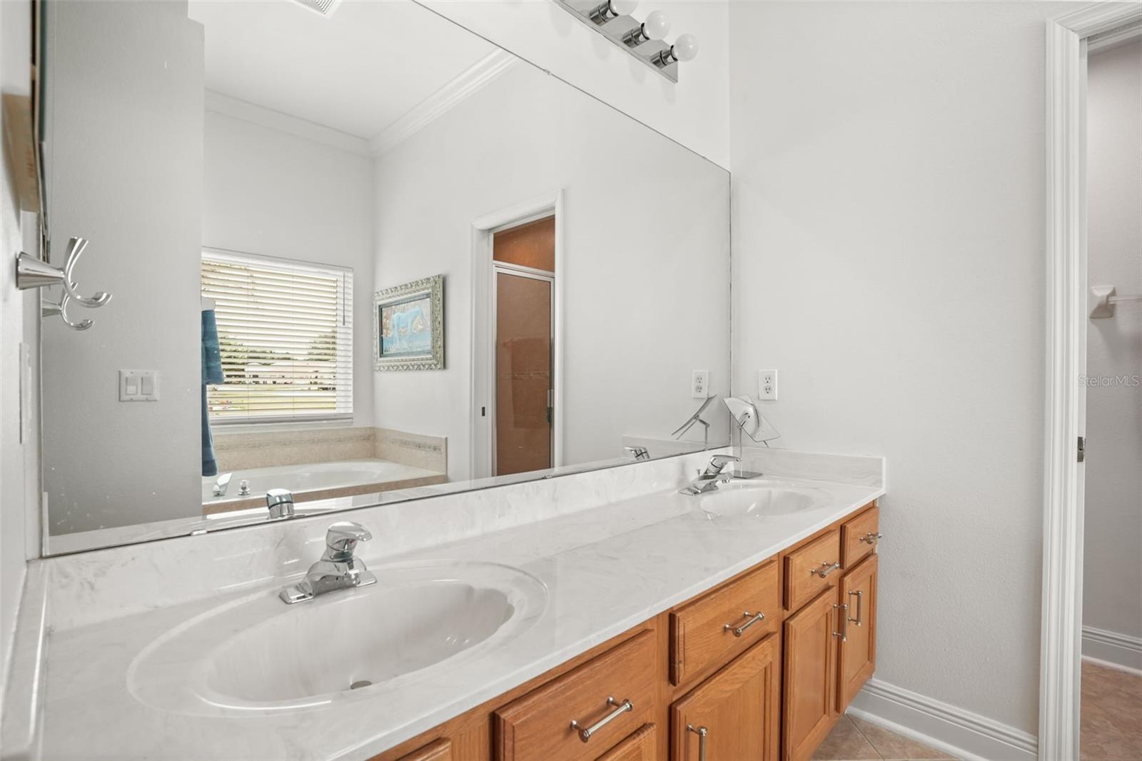 5843 PRINCESS CAROLINE PL, LEESBURG, FL, 34748
