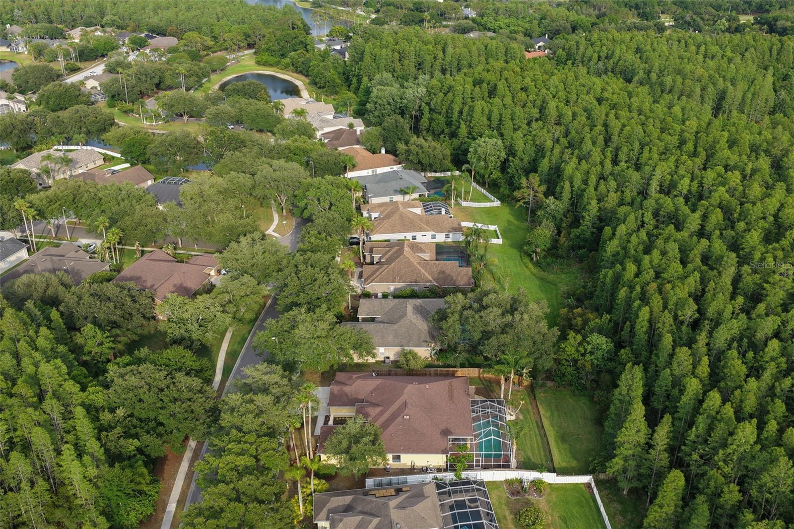 5306 REFLECTIONS BLVD, LUTZ, FL, 33558