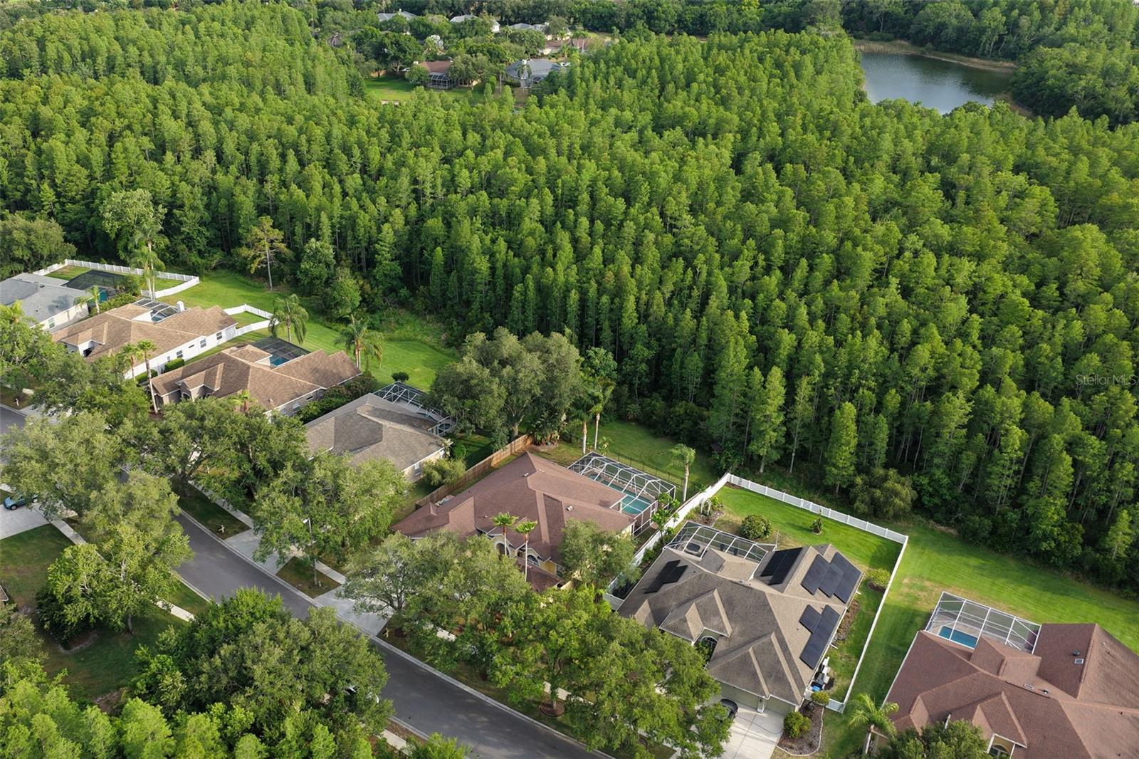 5306 REFLECTIONS BLVD, LUTZ, FL, 33558