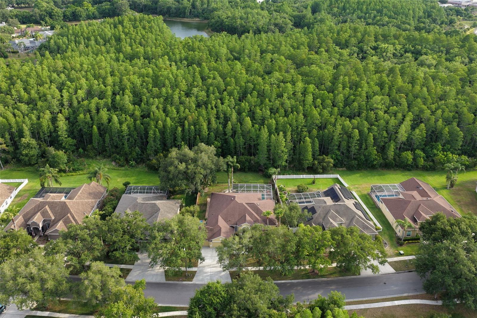 5306 REFLECTIONS BLVD, LUTZ, FL, 33558