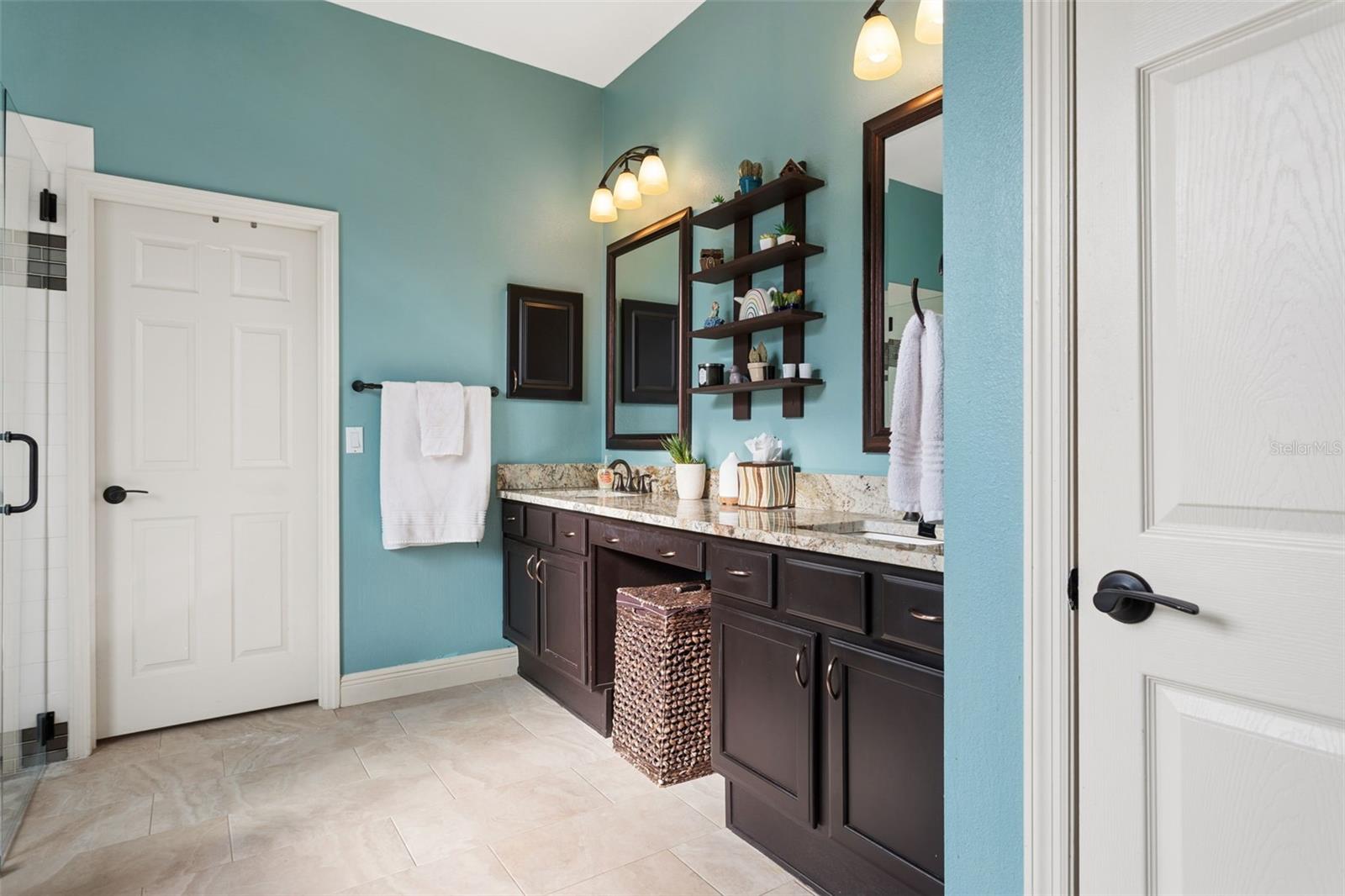 5306 REFLECTIONS BLVD, LUTZ, FL, 33558