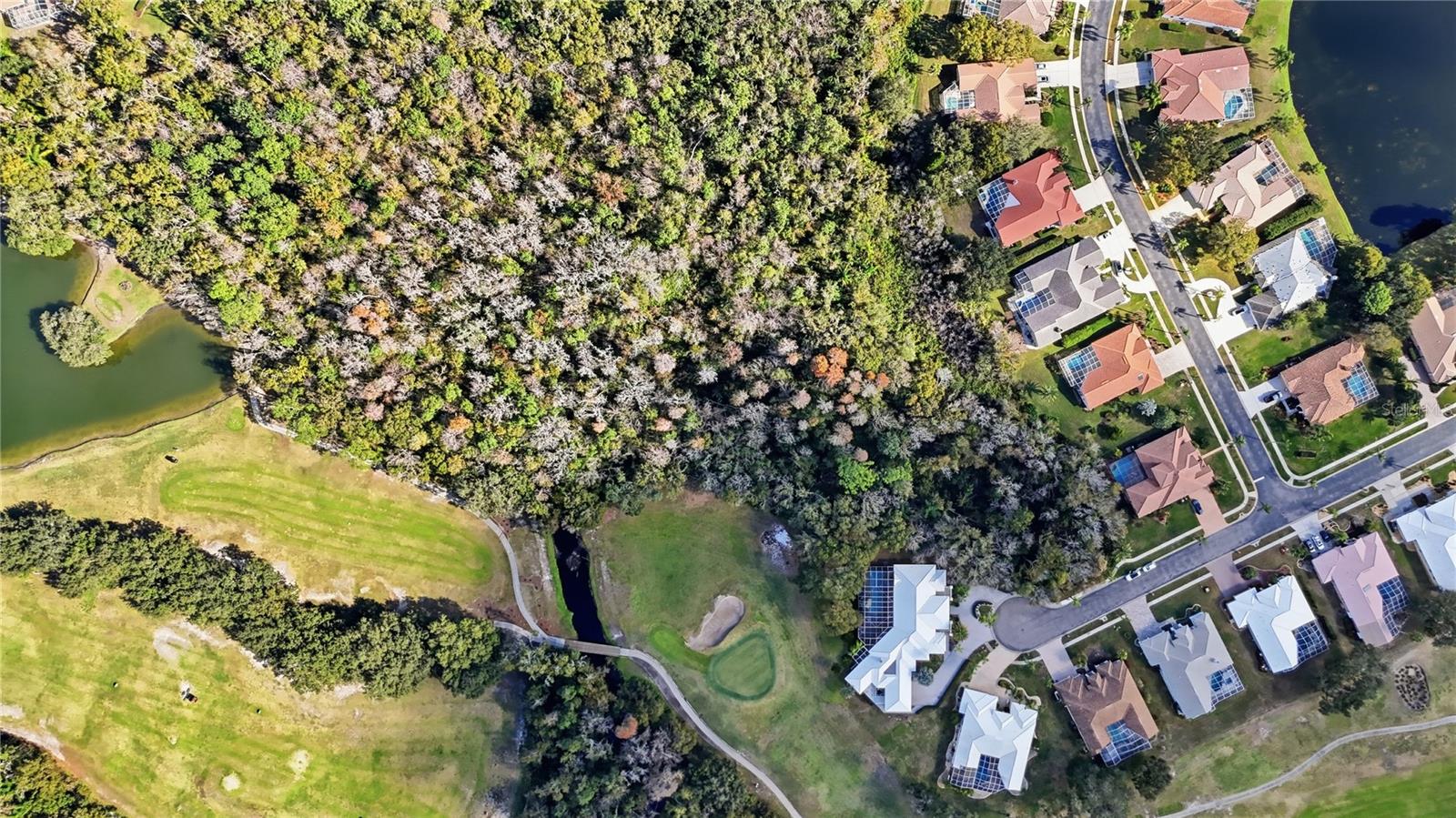 466 TALL OAK TRL, TARPON SPRINGS, FL, 34688