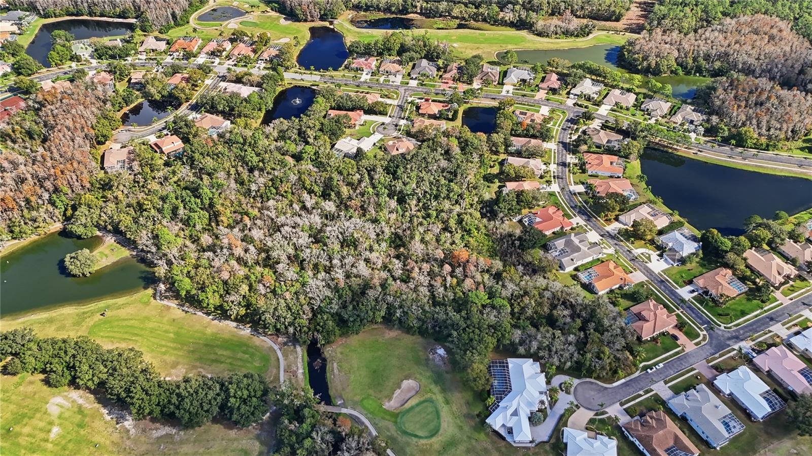 466 TALL OAK TRL, TARPON SPRINGS, FL, 34688