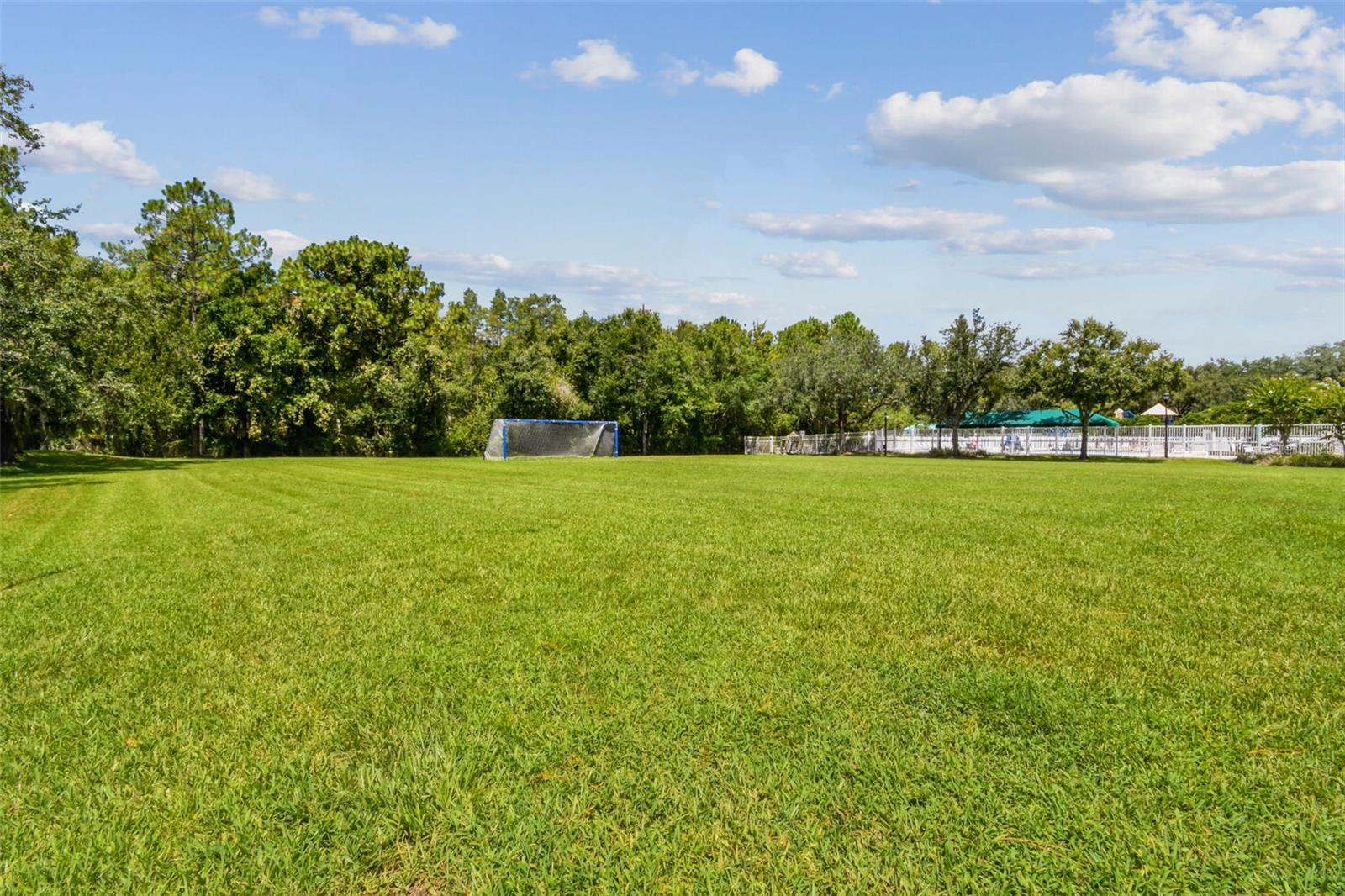 5401 LOOKOUT PASS, WESLEY CHAPEL, FL, 33544