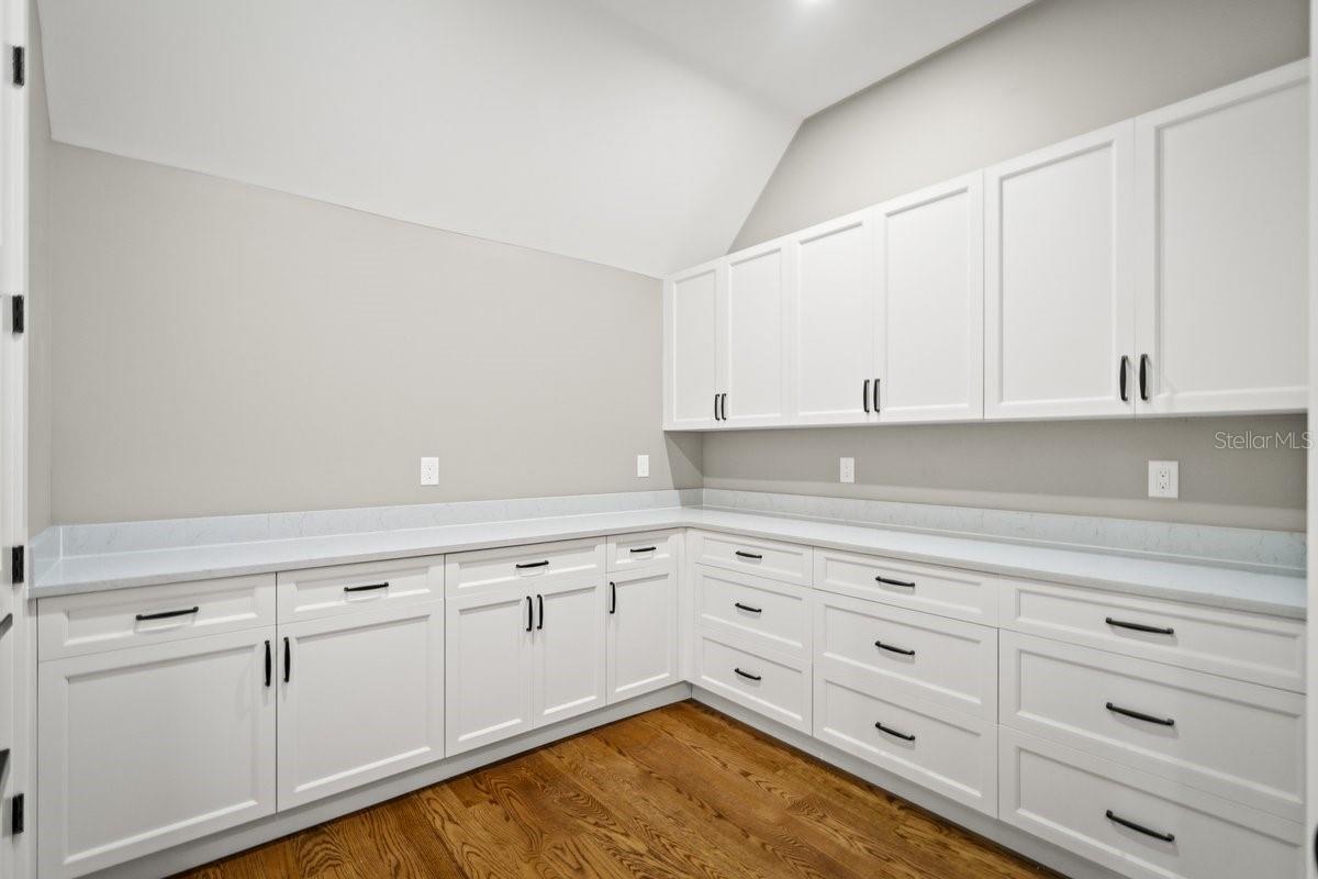 239 SEASIDE LANDINGS DR S, FLAGLER BEACH, FL, 32136