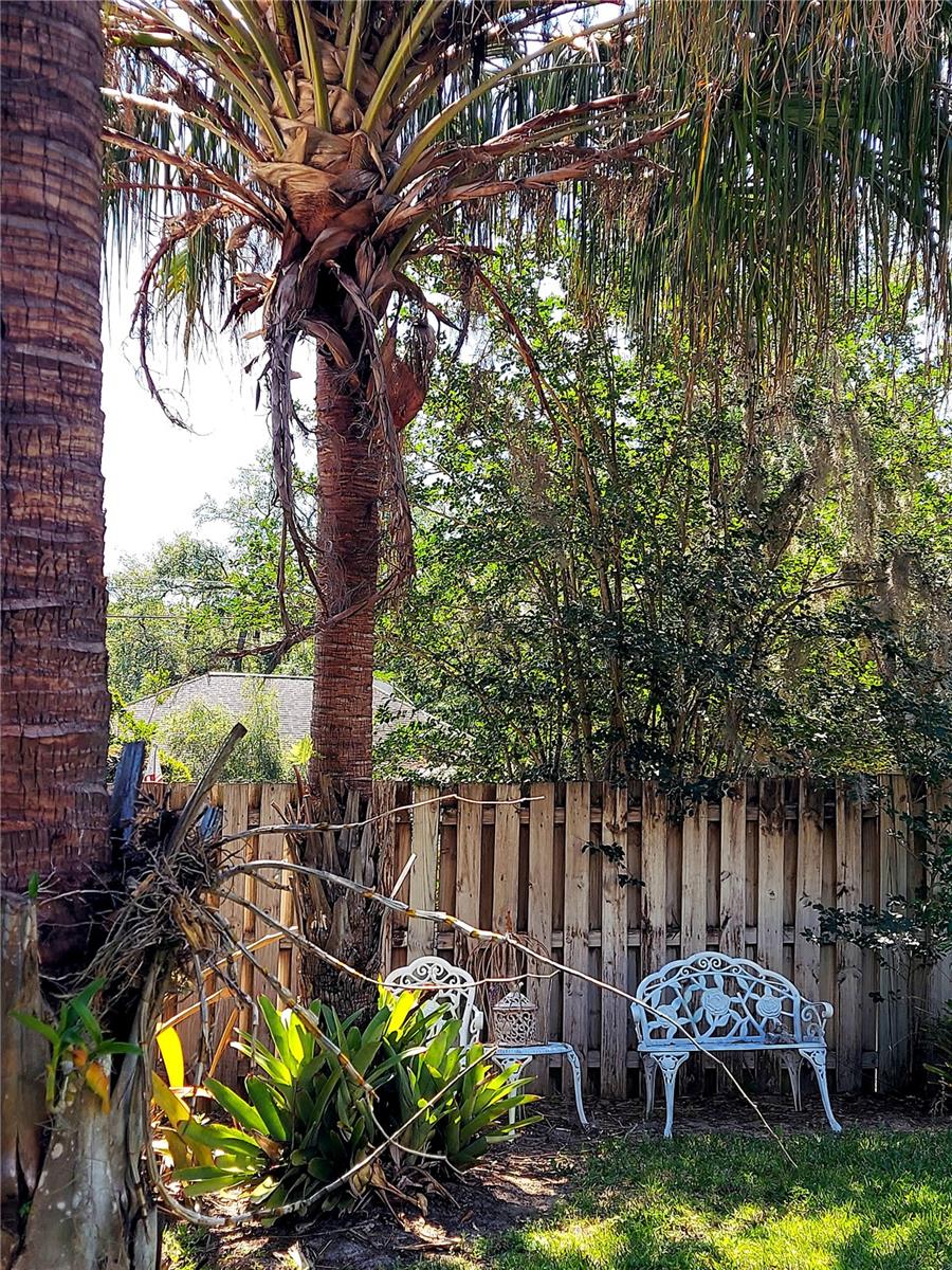 2308 OVERLOOK DR, MOUNT DORA, FL, 32757