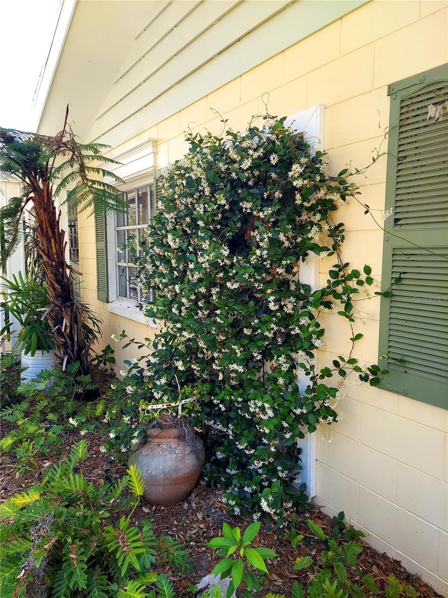 2308 OVERLOOK DR, MOUNT DORA, FL, 32757