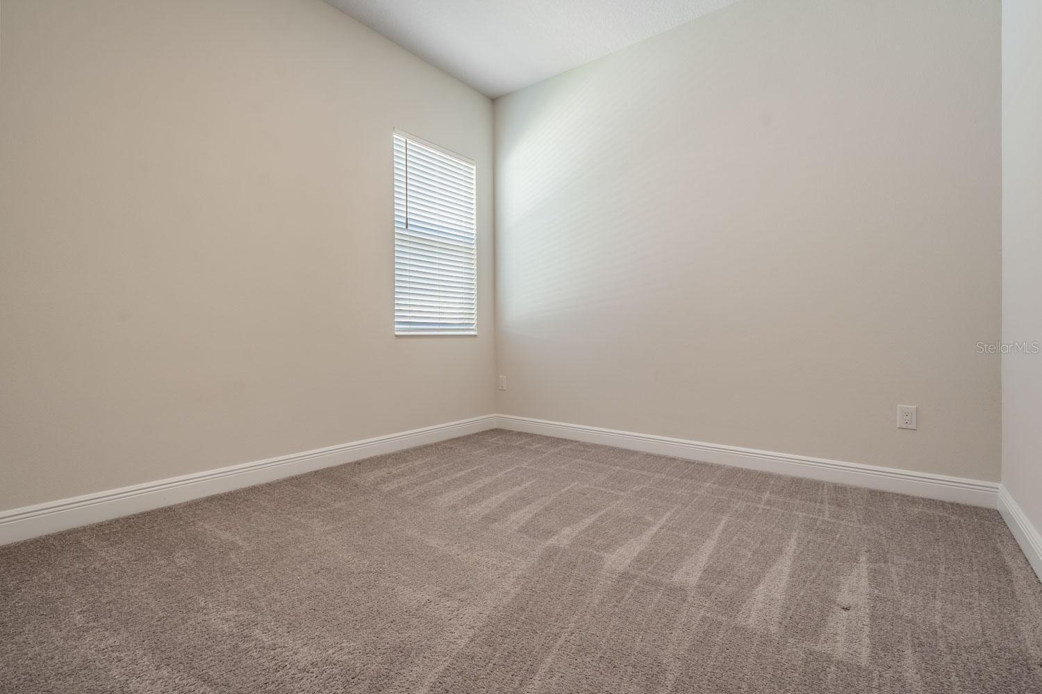 4384 BROAD PORCH RUN, LAND O LAKES, FL, 34638