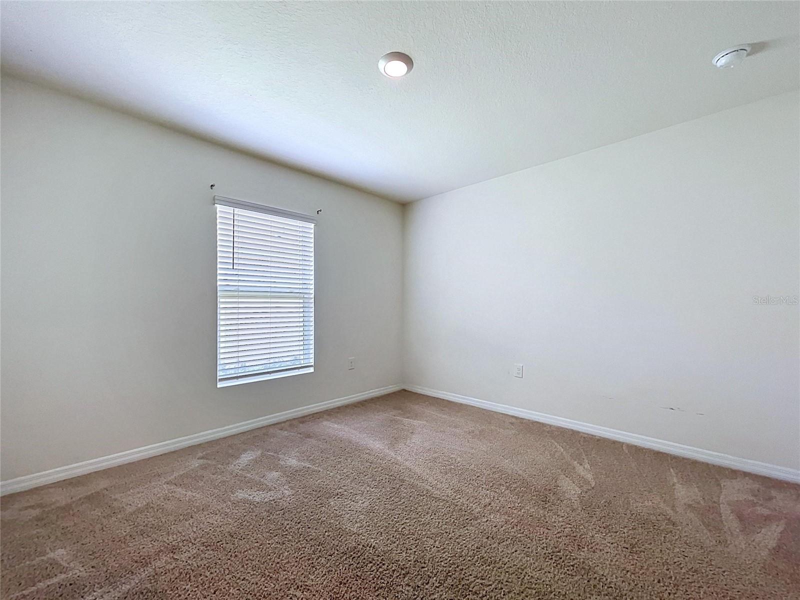 7804 DAVIE RAY DR, ZEPHYRHILLS, FL, 33540