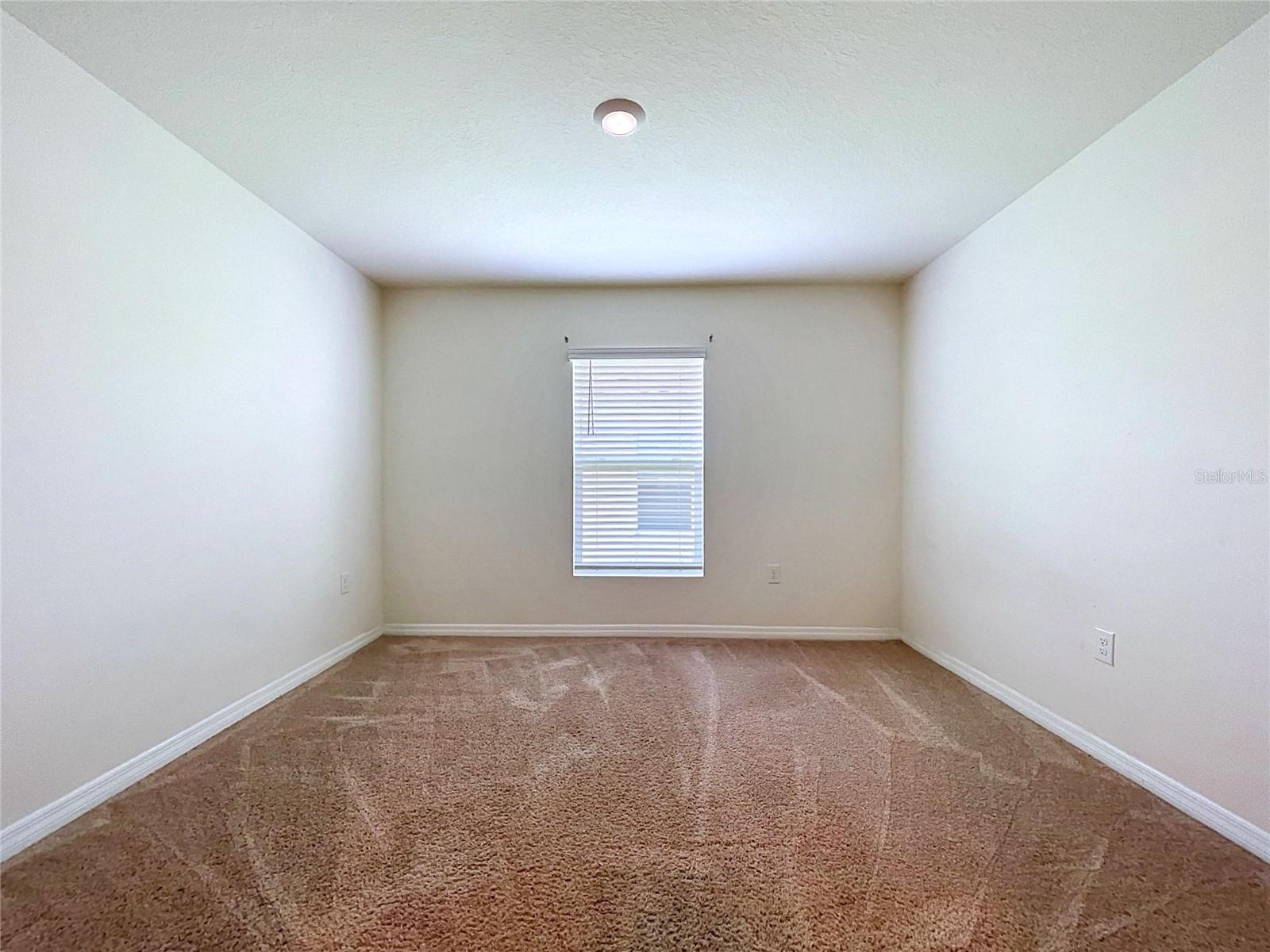 7804 DAVIE RAY DR, ZEPHYRHILLS, FL, 33540