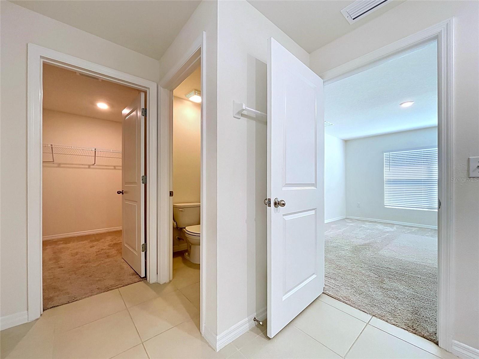 7804 DAVIE RAY DR, ZEPHYRHILLS, FL, 33540