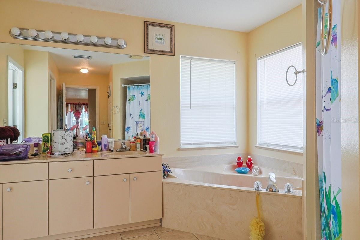 13536 SW 81ST CIR, OCALA, FL, 34473