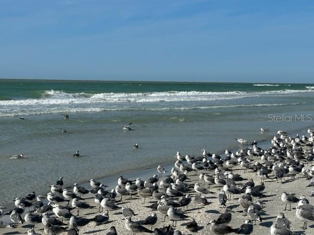 10 158TH AVE, REDINGTON BEACH, FL, 33708