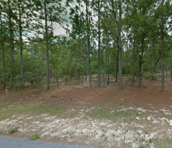 1204 W FAN DR, CITRUS SPRINGS, FL, 34434