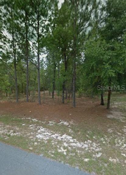 1204 W FAN DR, CITRUS SPRINGS, FL, 34434